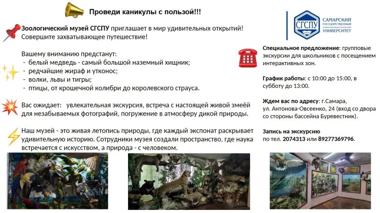 Приглашаем воспитанников пришкольных лагерей...